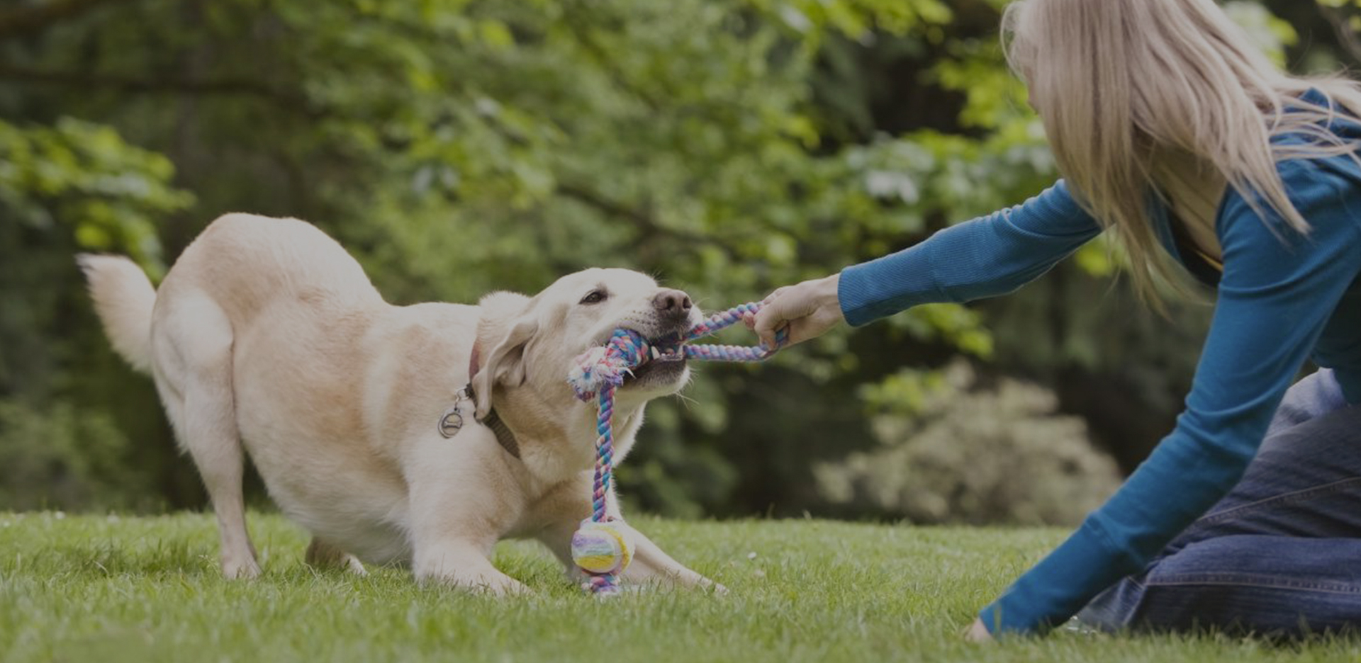 Shaoxing Best Pet Supplies Co., Ltd.